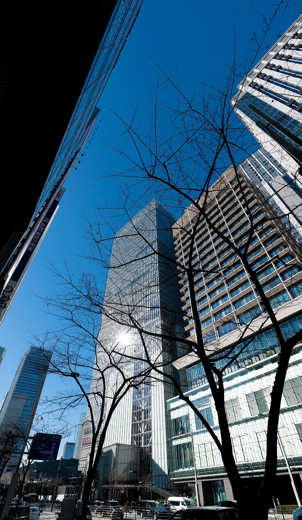  TOKYO JAPAN - WINTER SUN 