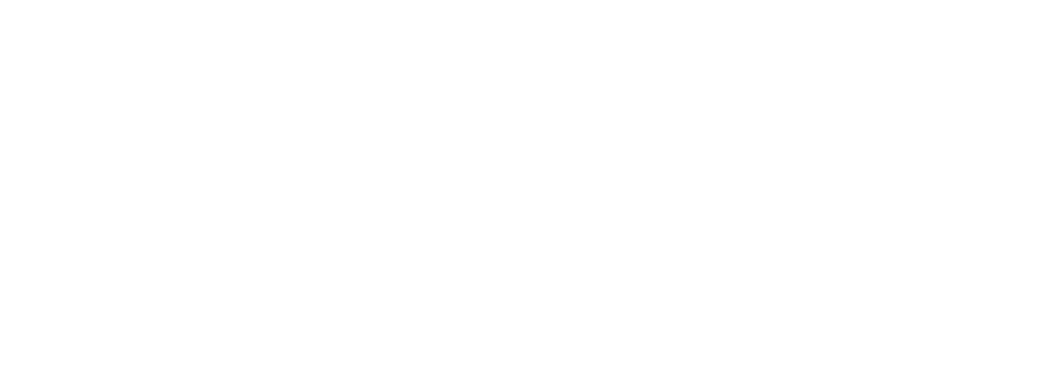 Bungeemonkey