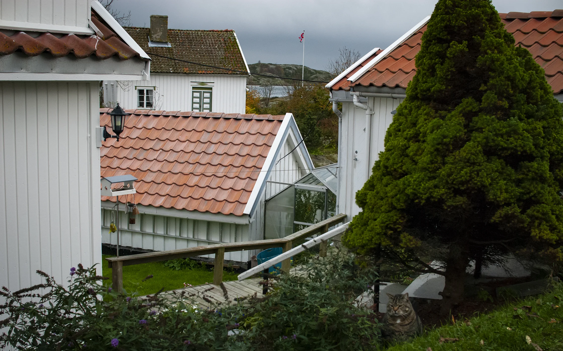 DSC_0379.jpg