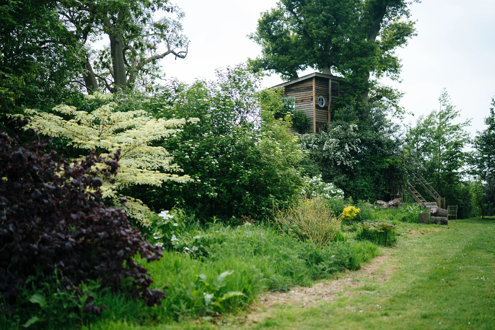 treehouse (62 of 21).jpg