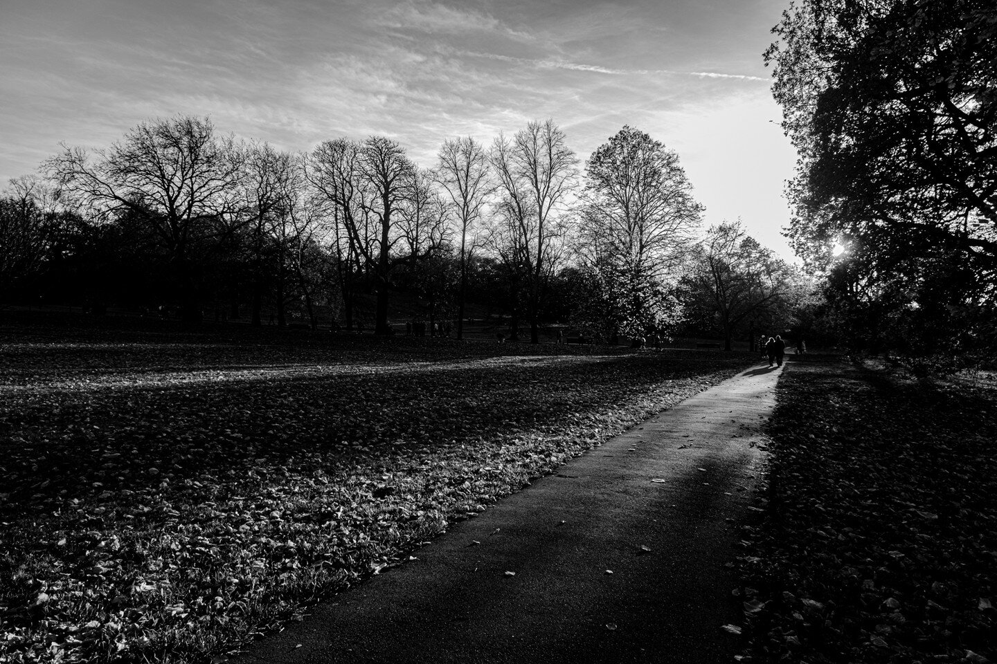 I rather dramatic shot along a path in Greenwich Park in late November.

This was a classic case of &quot;missed by a few minutes&quot;. There was a couple walking away from the foreground, and once I realised the perspective and significance of the 