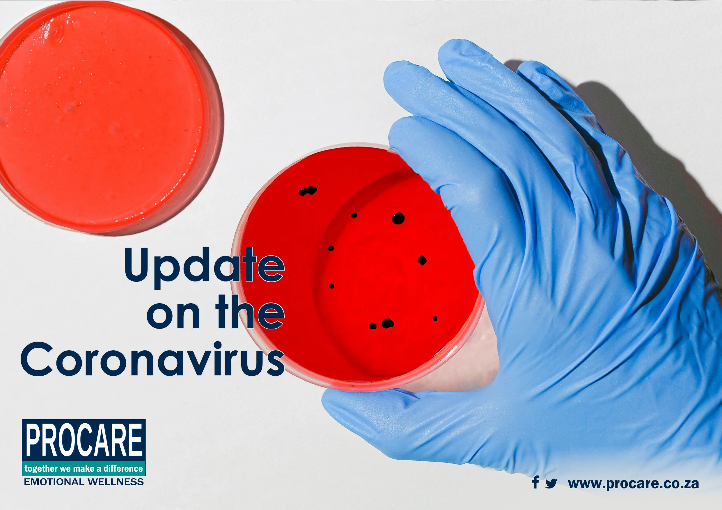 Update on the Coronavirus Pandemic March 2020