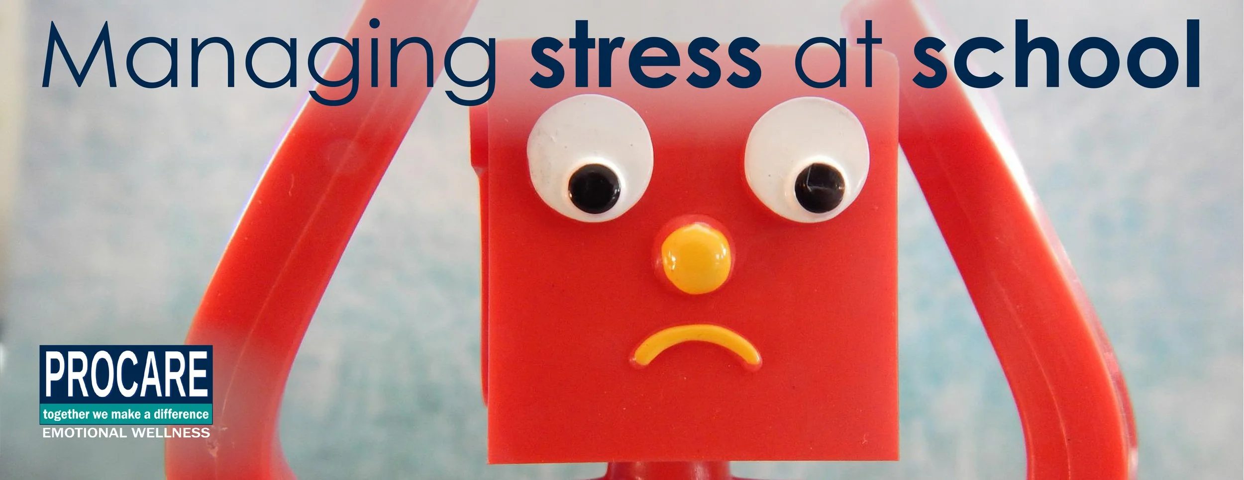 Managing Stress at School 2022