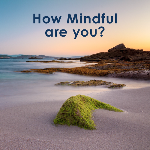 Mindfulness and Respect