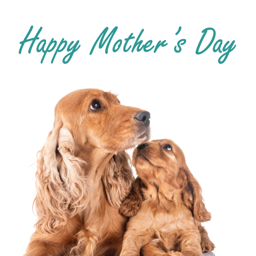 Mother's Day