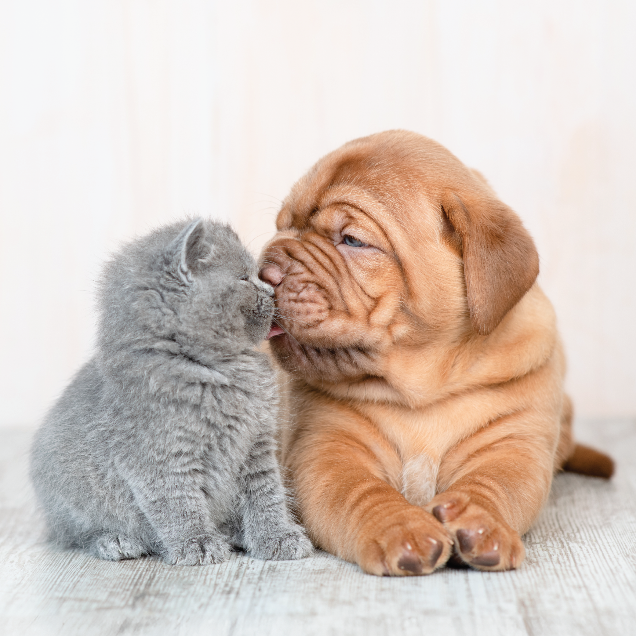 Respect and Mindfulness in Relationships (Part 1)