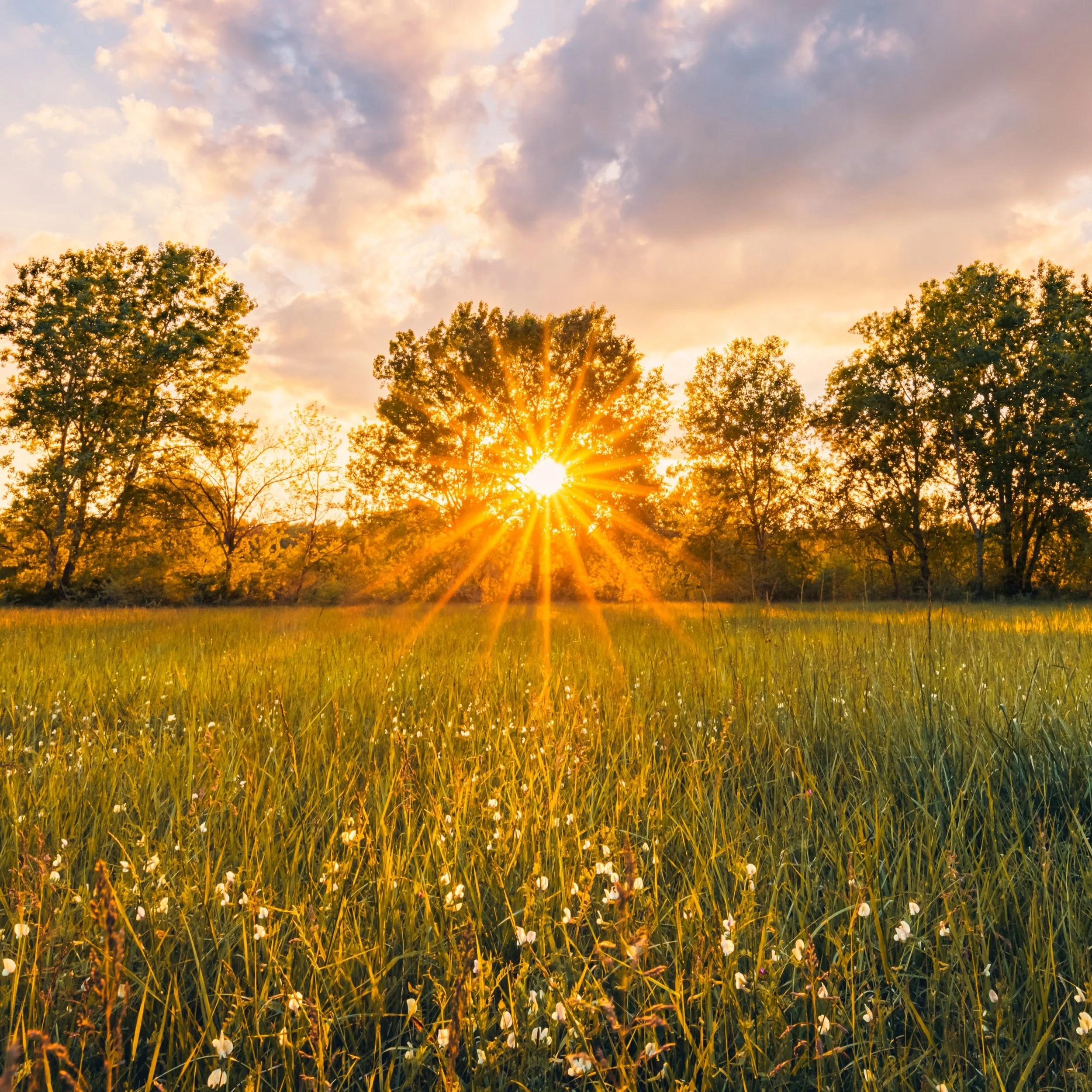 Helpful Ways to Beat Depression