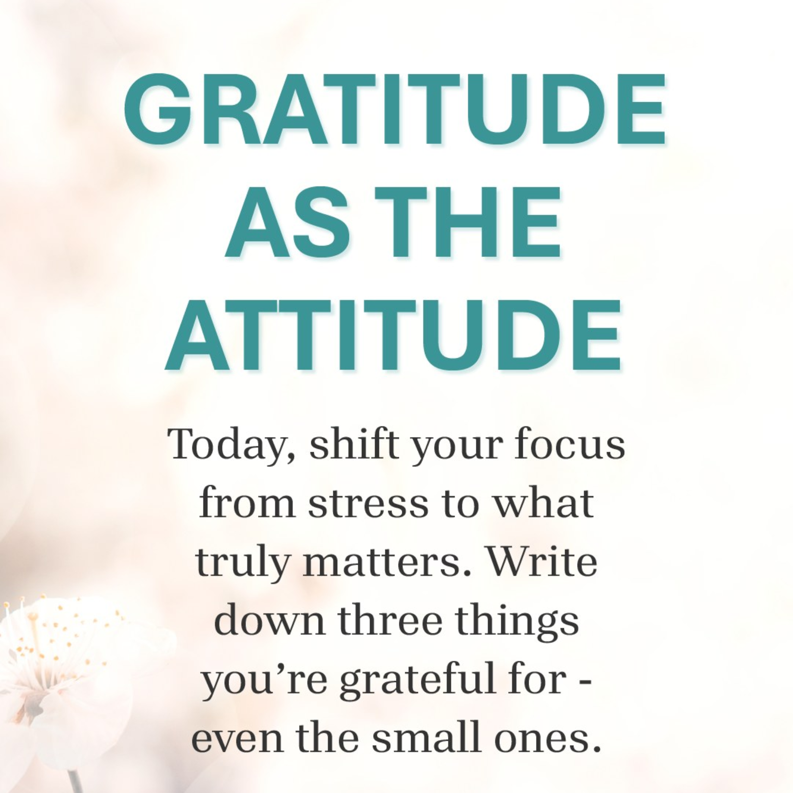 Gratitude as an Attitude