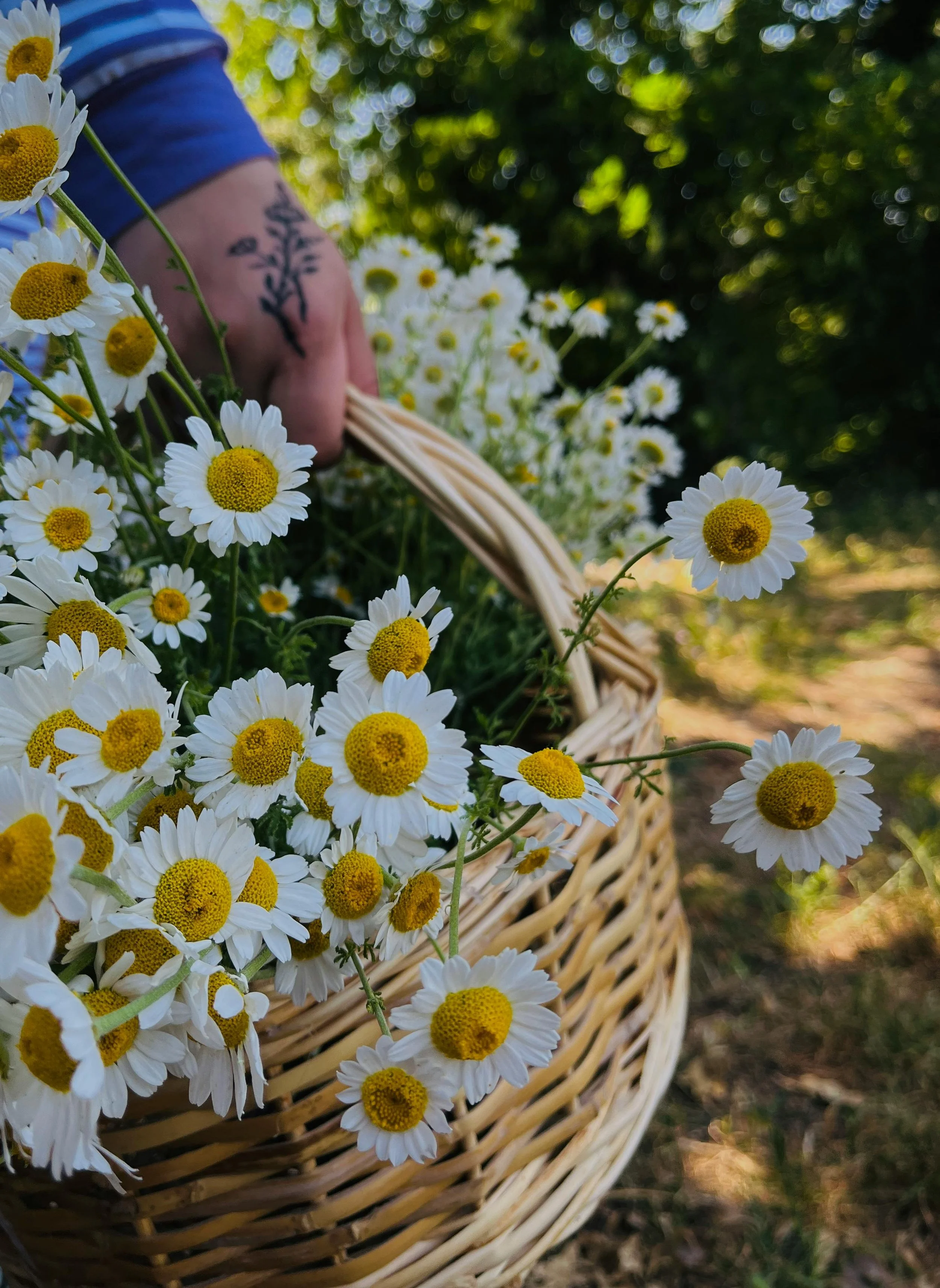 Finding Ways to Stay Connected to Loved Ones in Grief