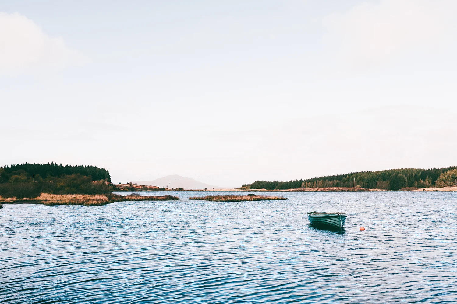 isle-of-mull-lake-forest.jpg