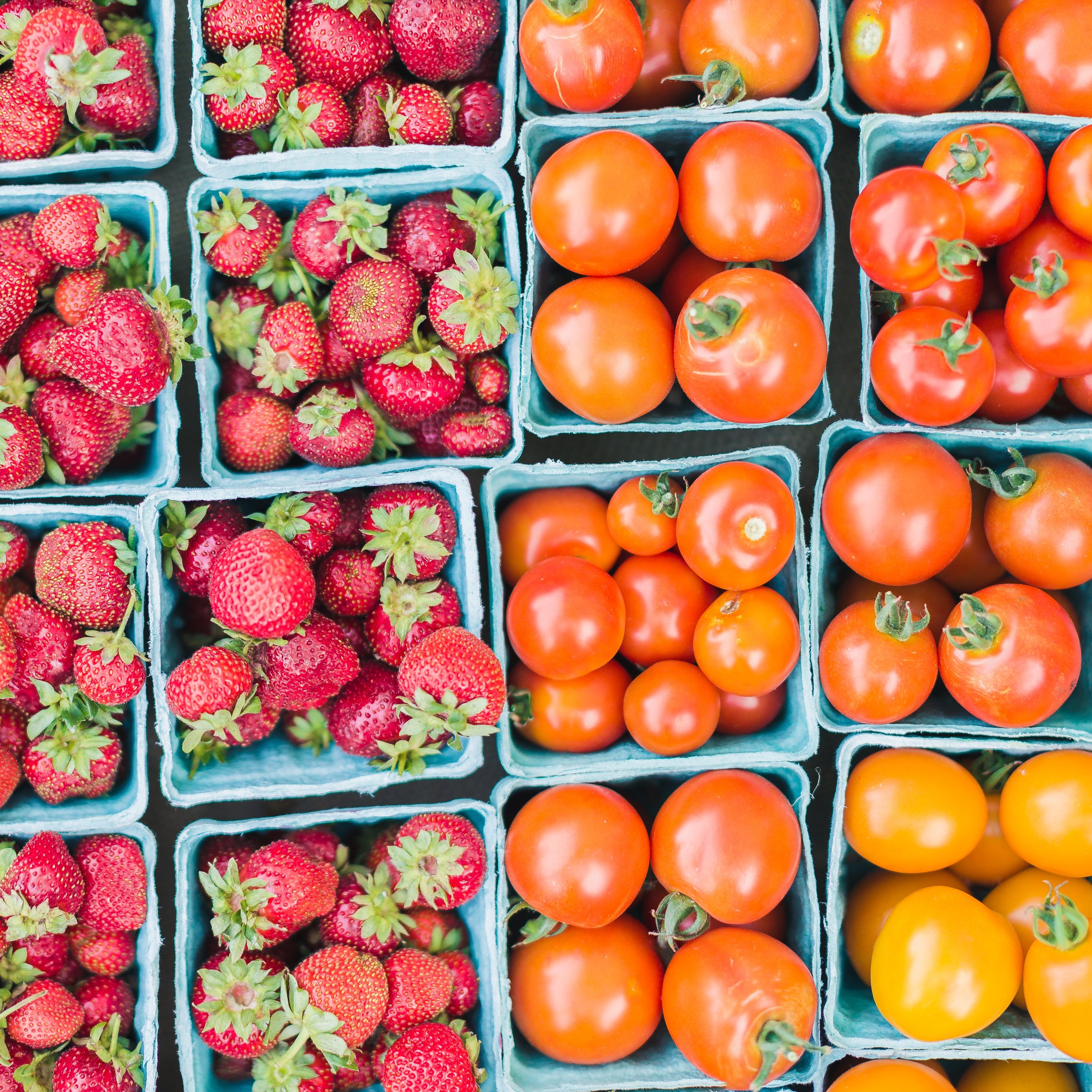 Strawberries & Tomatoes.jpg