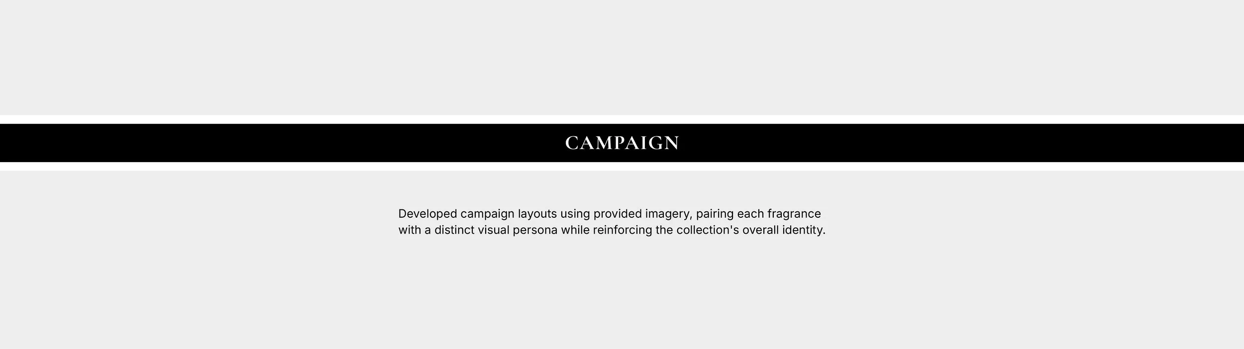 RZ-Campaign.jpg