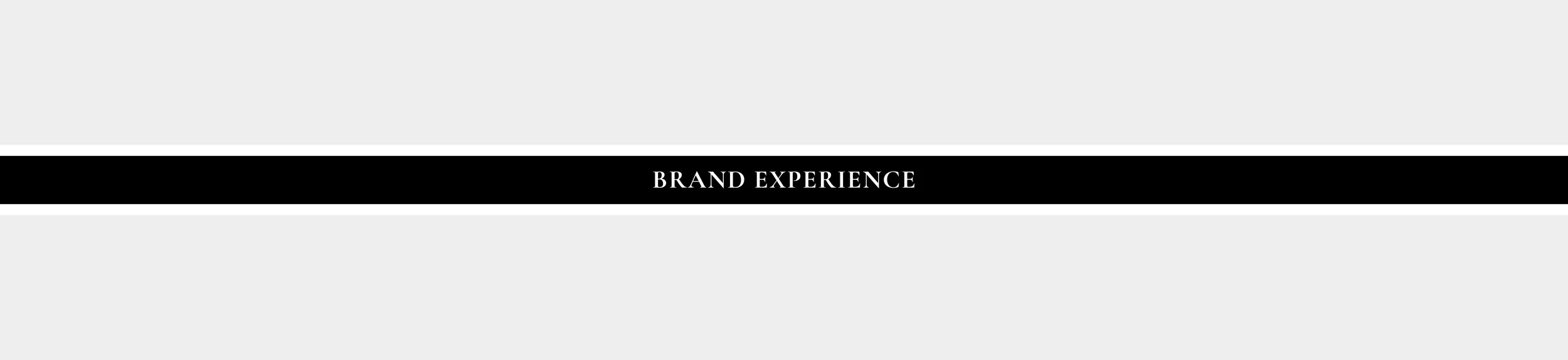 ML-Brand Experience.jpg