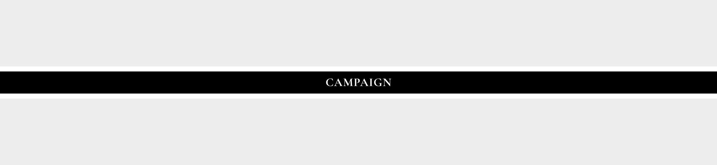 Campaign.jpg