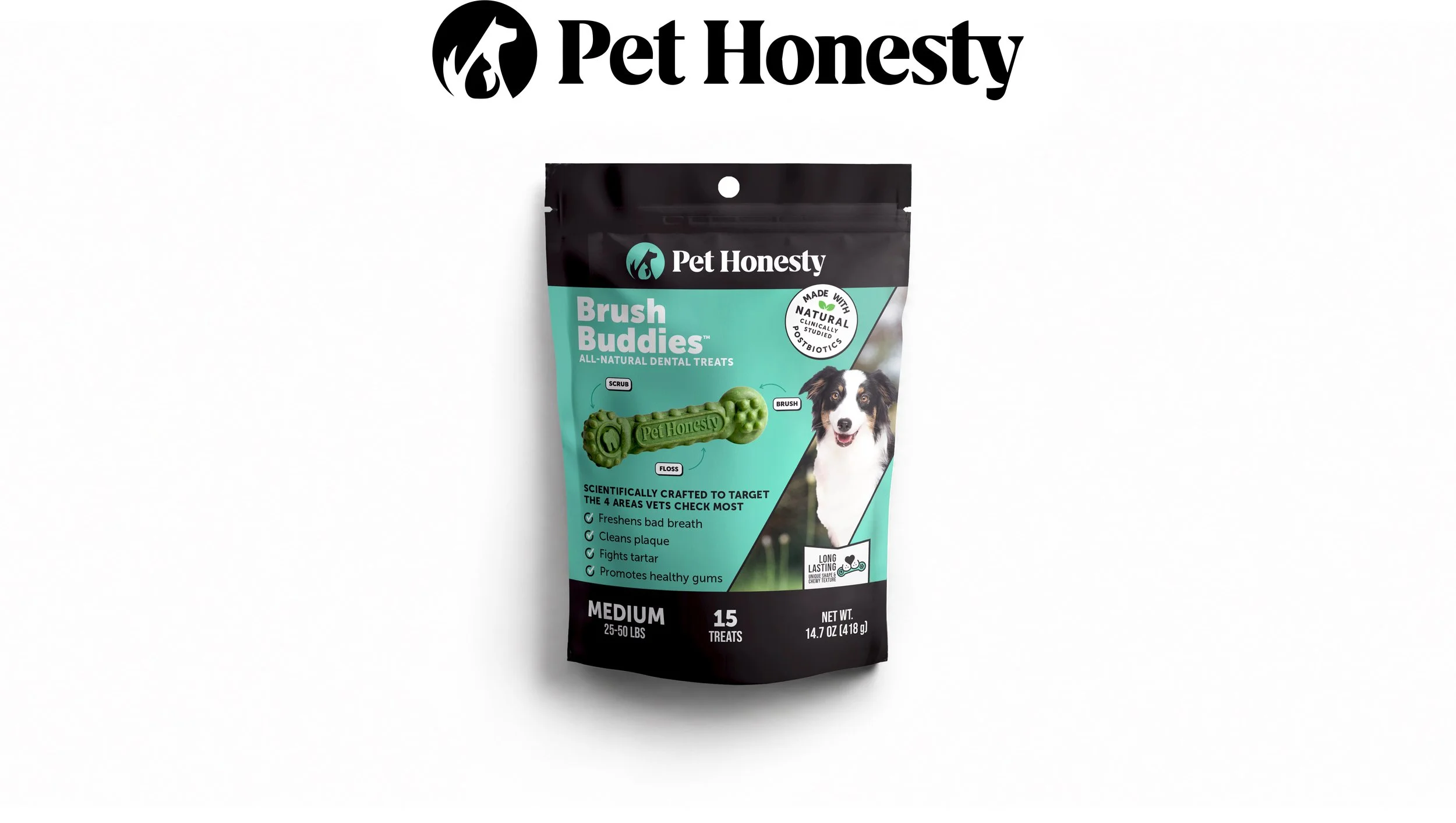 Pet Honesty-Introduction.jpg