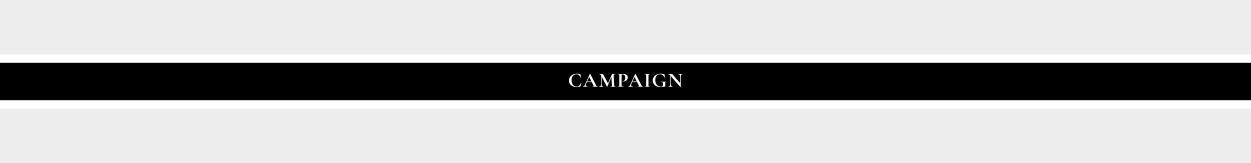 Campaign.jpg