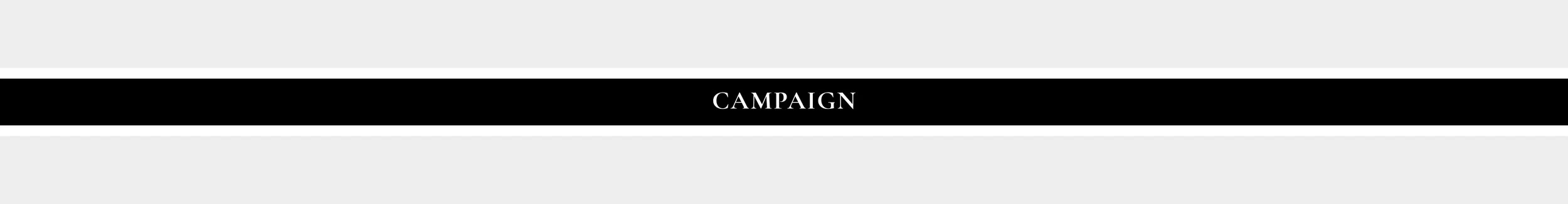 Campaign.jpg