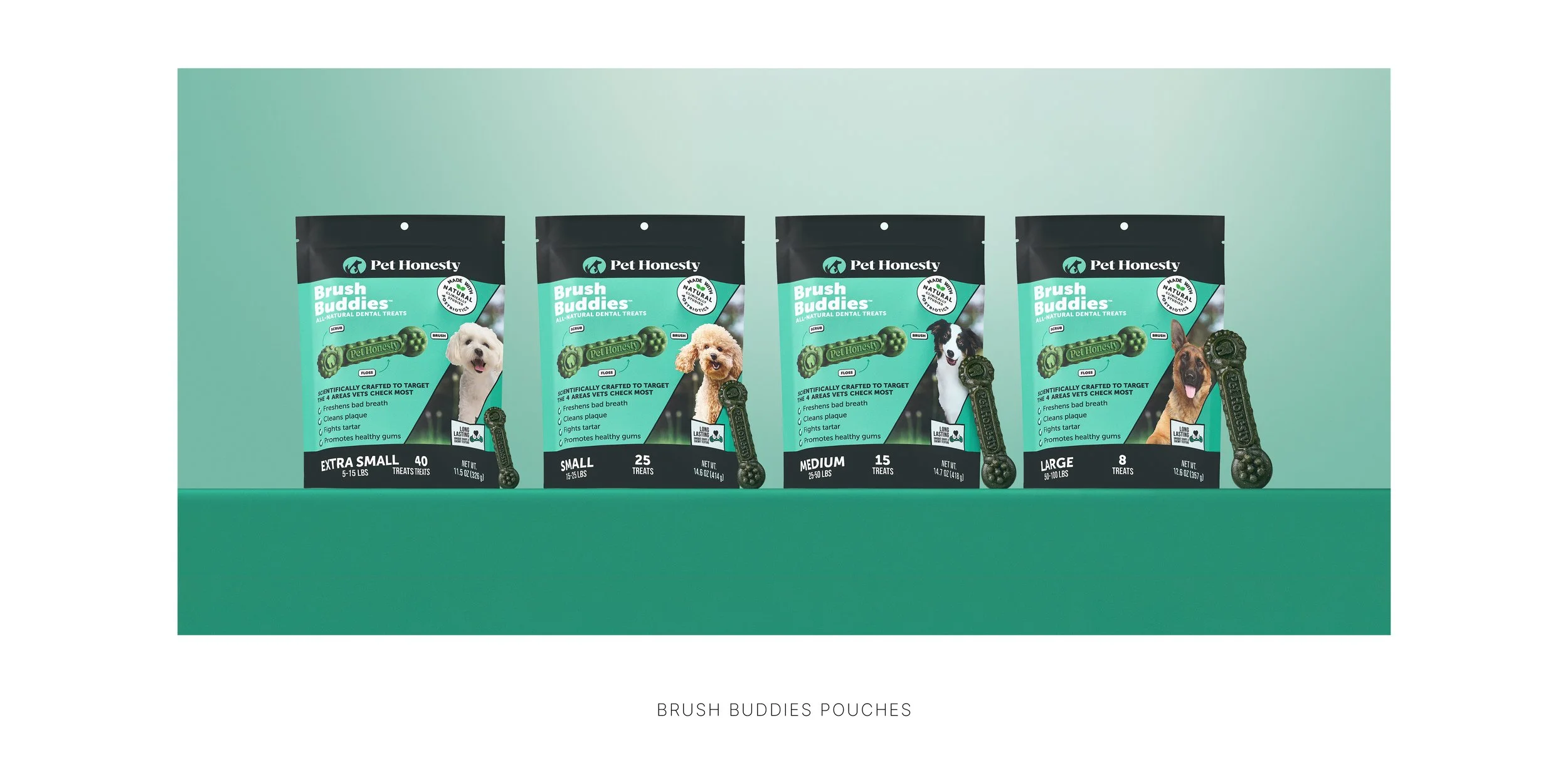 PH-Brush Buddies-L-Hero Shelf.jpg