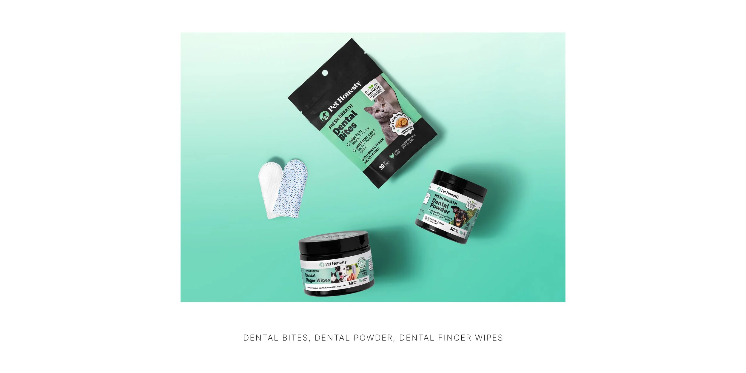 25_PH_DENTAL_mini_GROUP_Wide.jpg