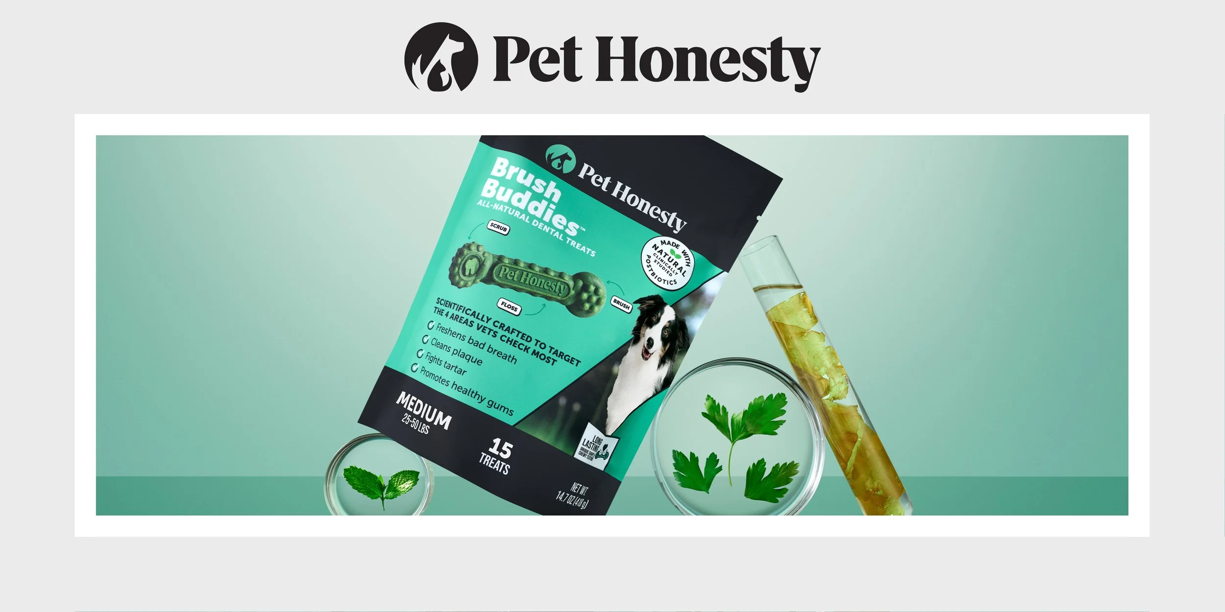 Pet Honesty-Main Page.jpg