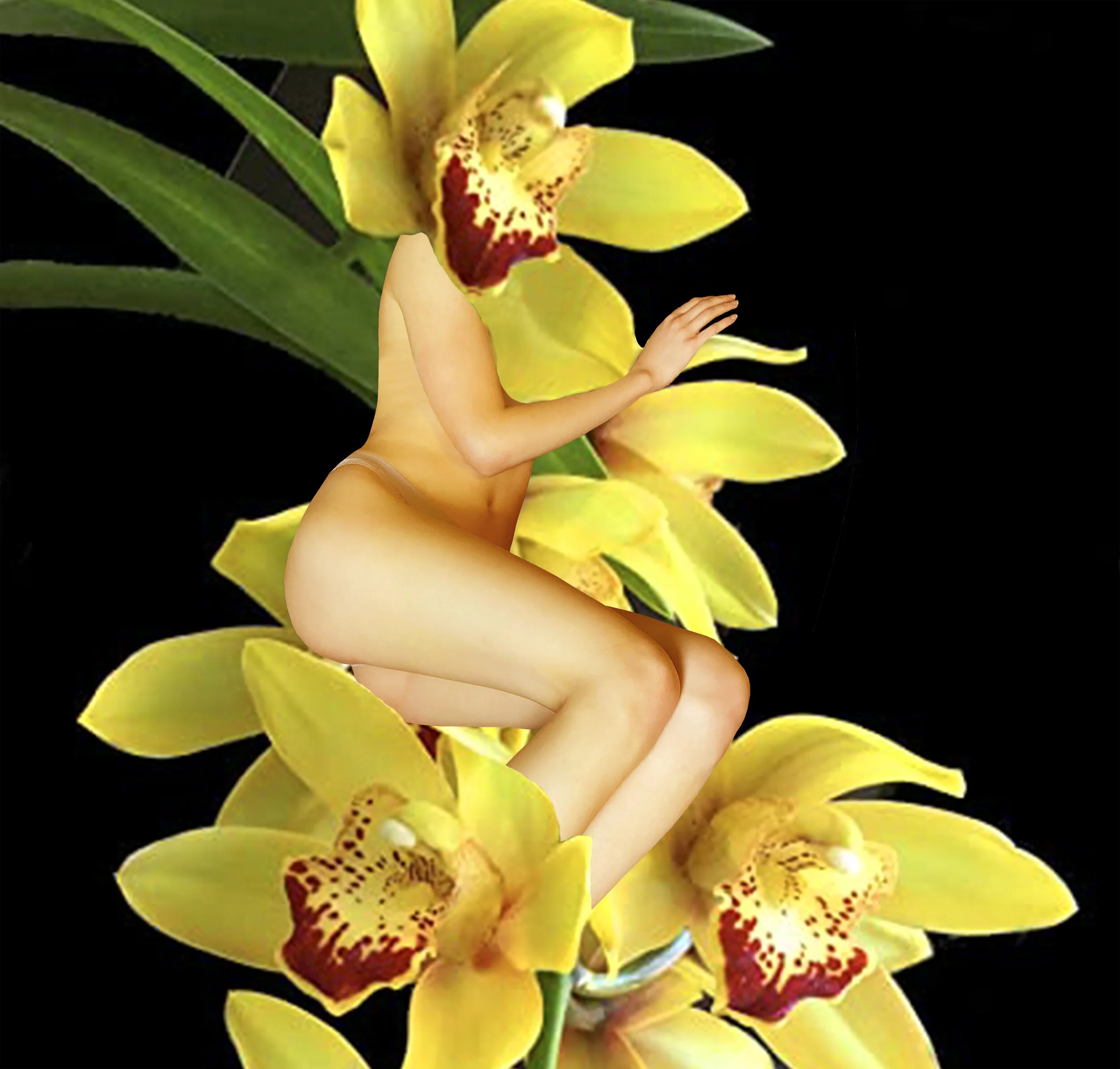 Anonymous Orchid