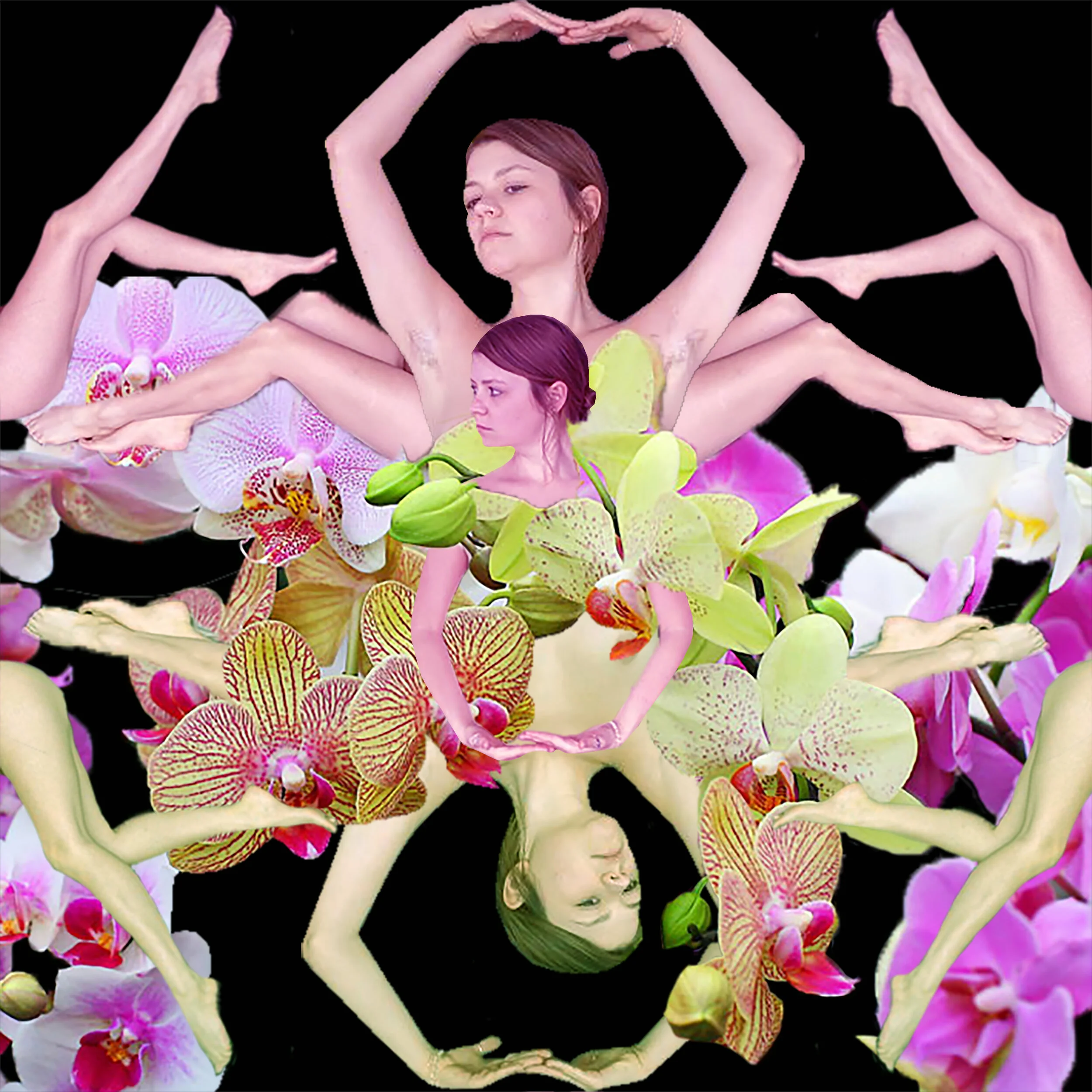 Fiona Through a Kaleidoscope