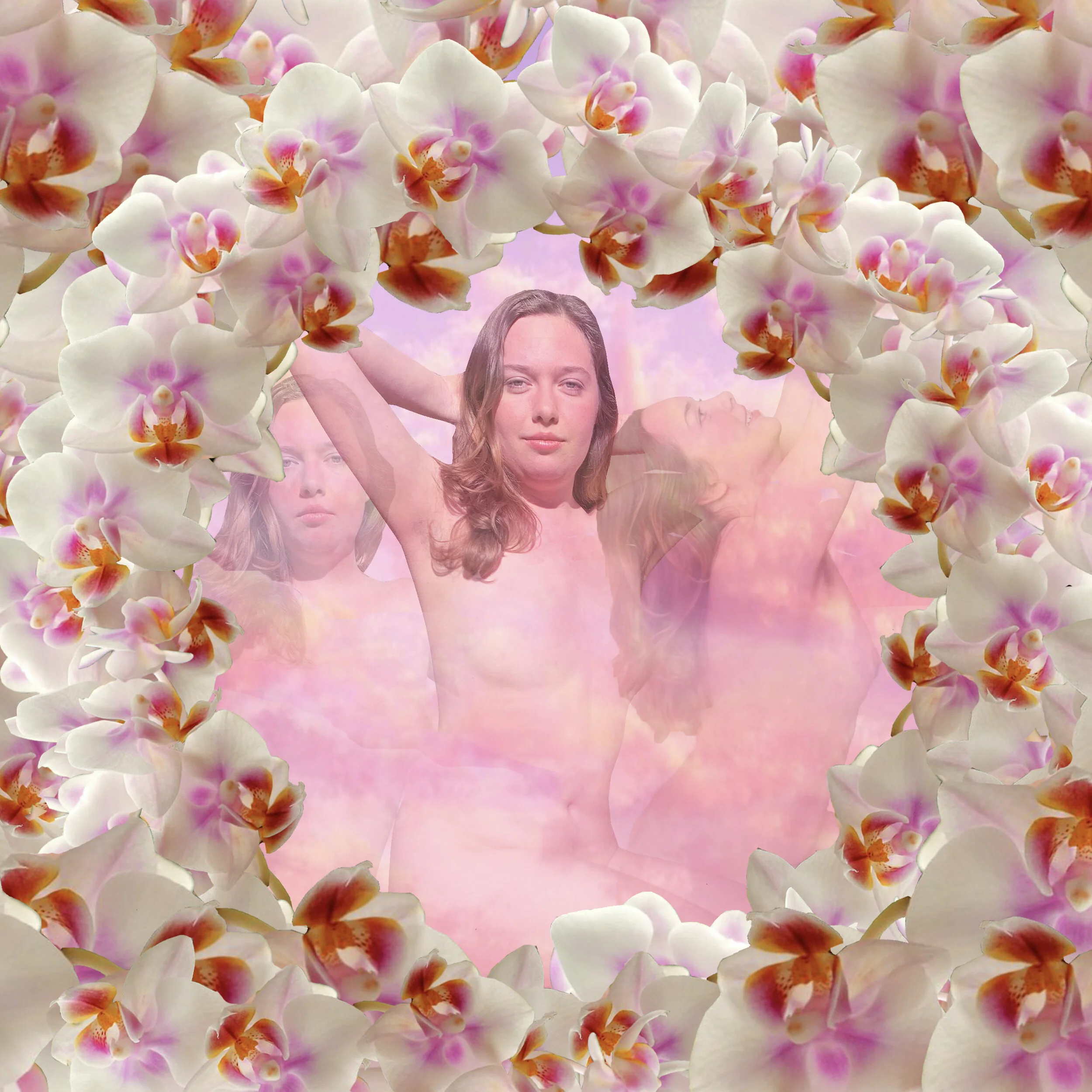 Soft Dreams