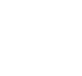 scale.png