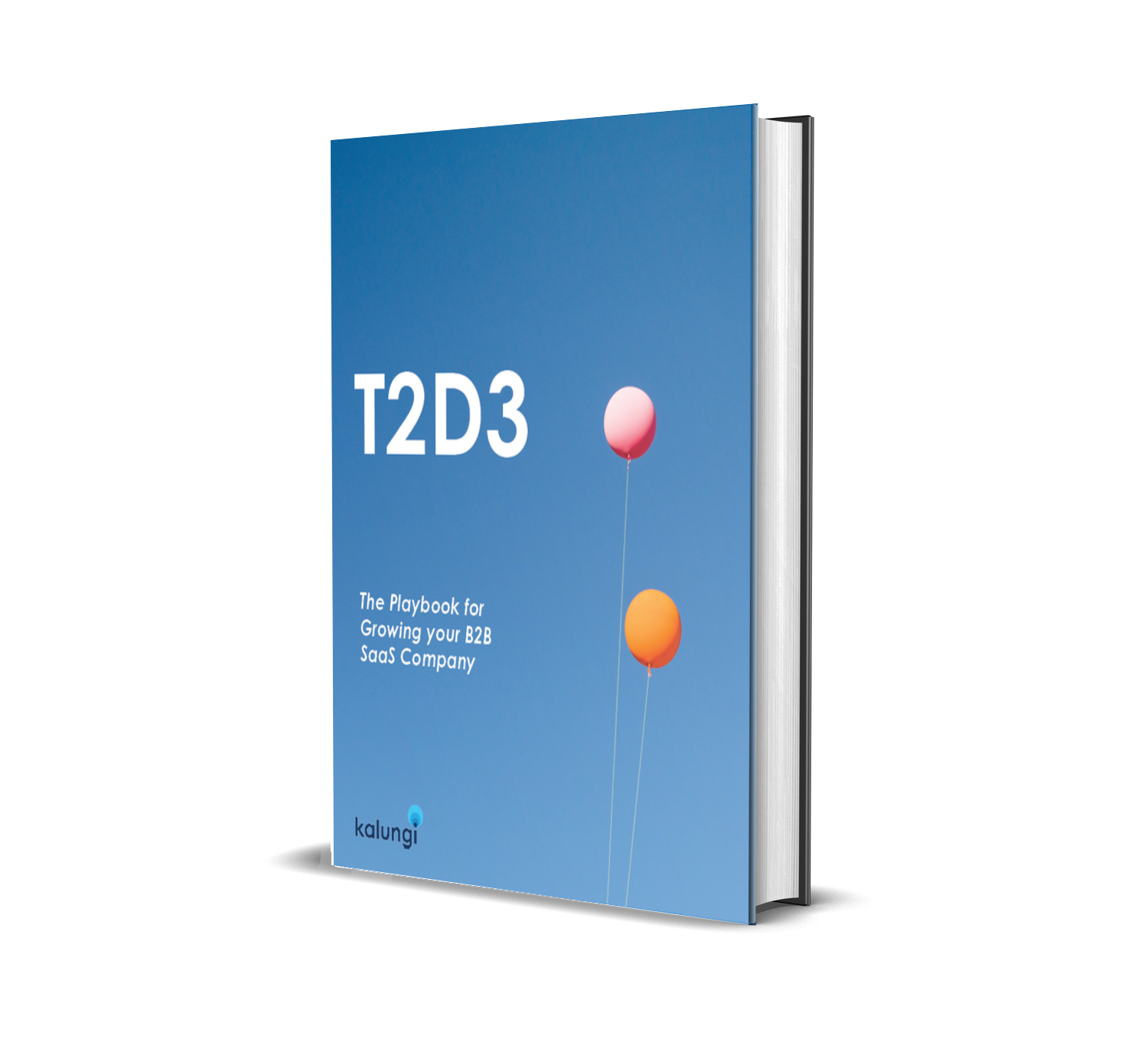 T2D3, the first book focused only on B2B SaaS Marketing.