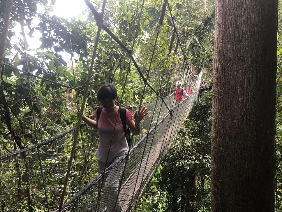 Poring Canopy Walkway