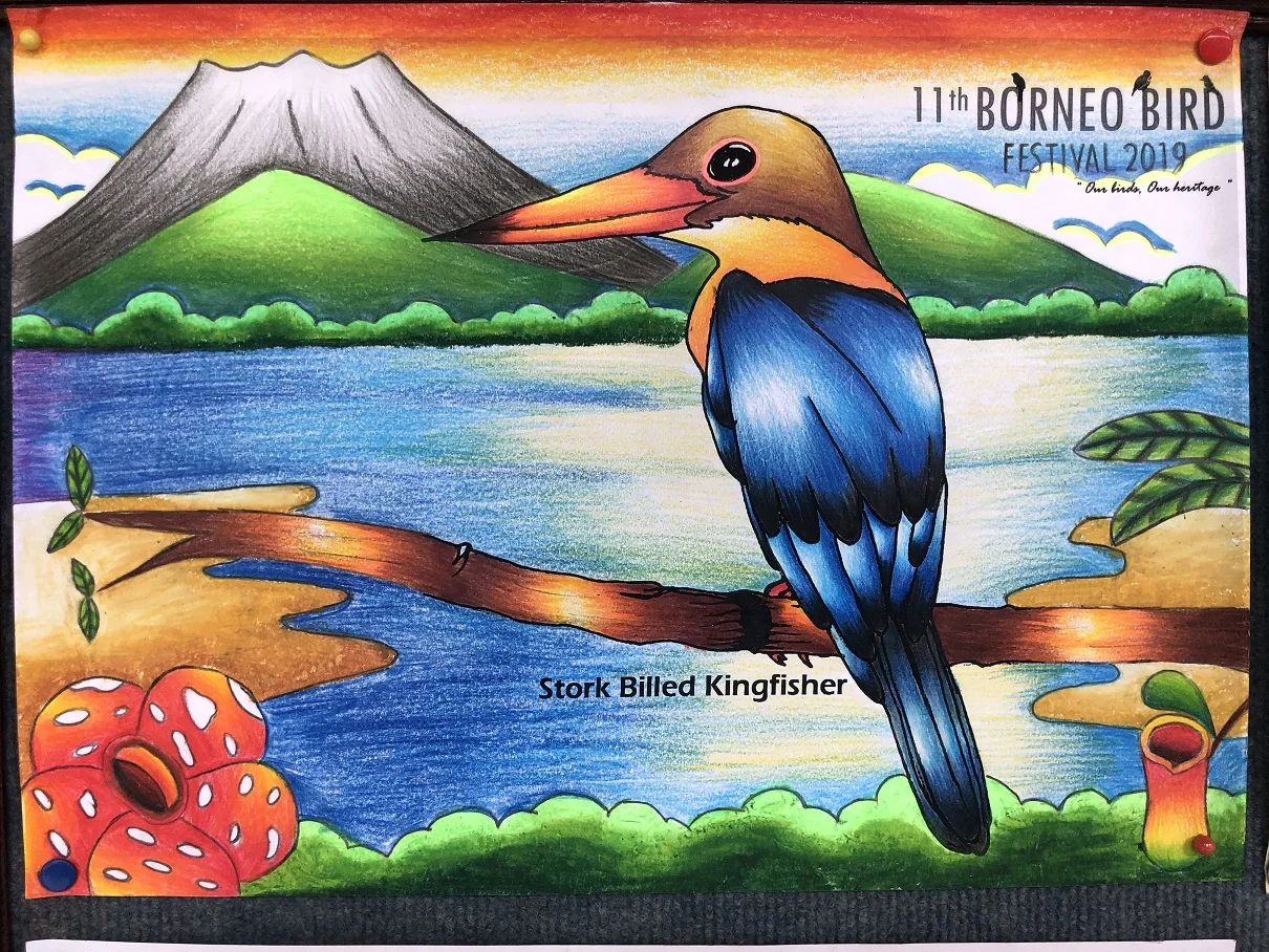 Visiting the 11th Borneo Bird Festival