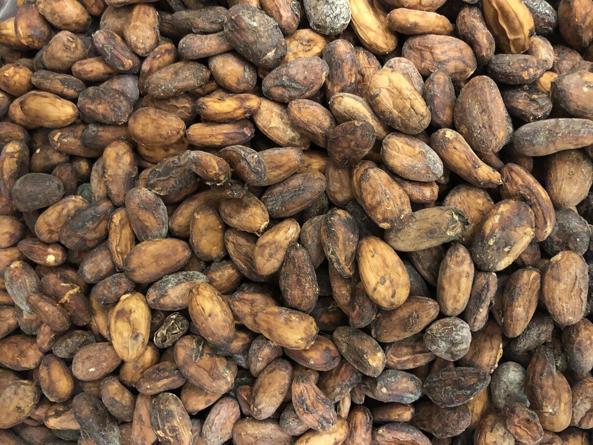 Unsorted cocoa beans