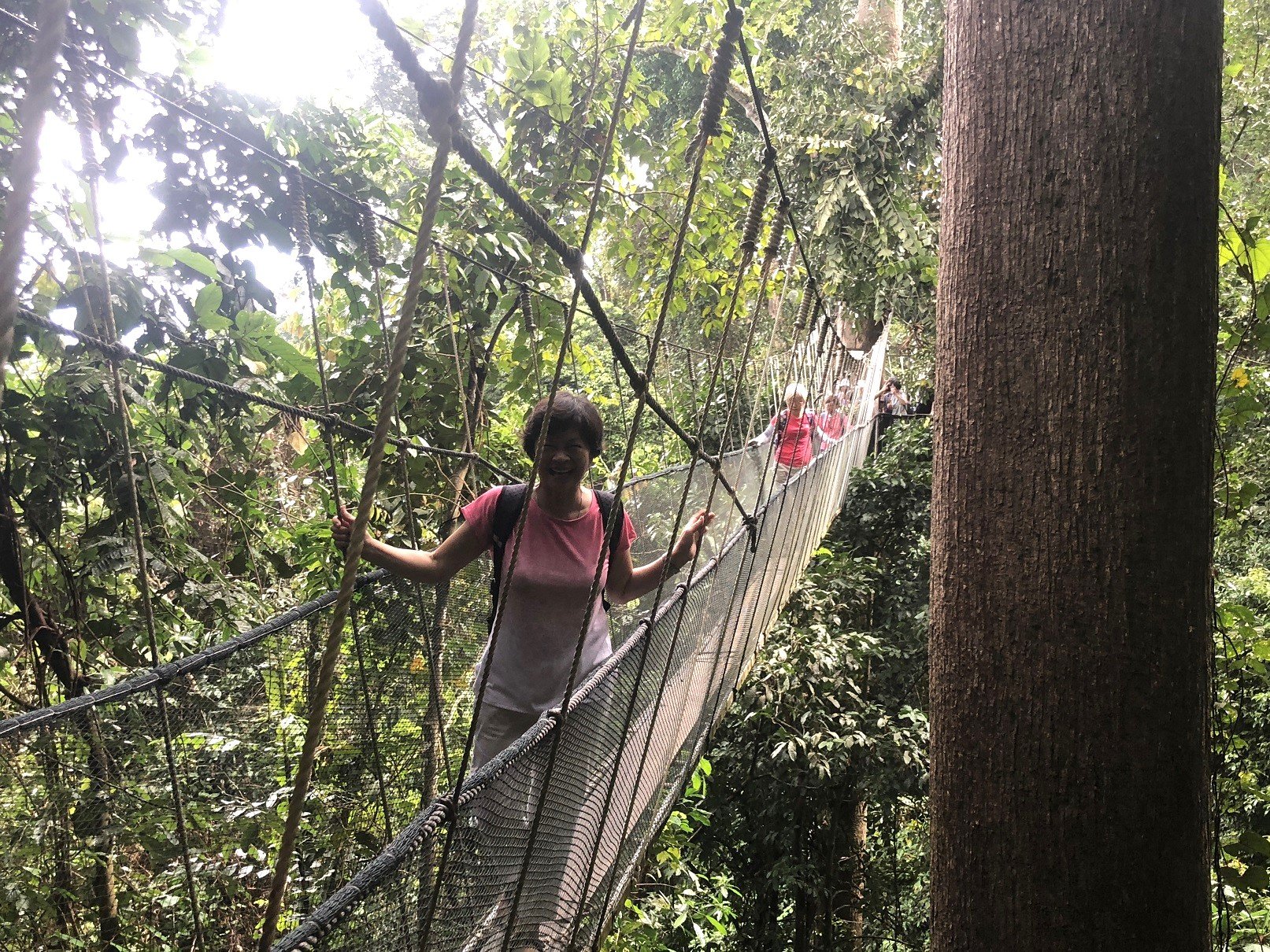 Completing the Canopy Walk at Poring Hot Spring