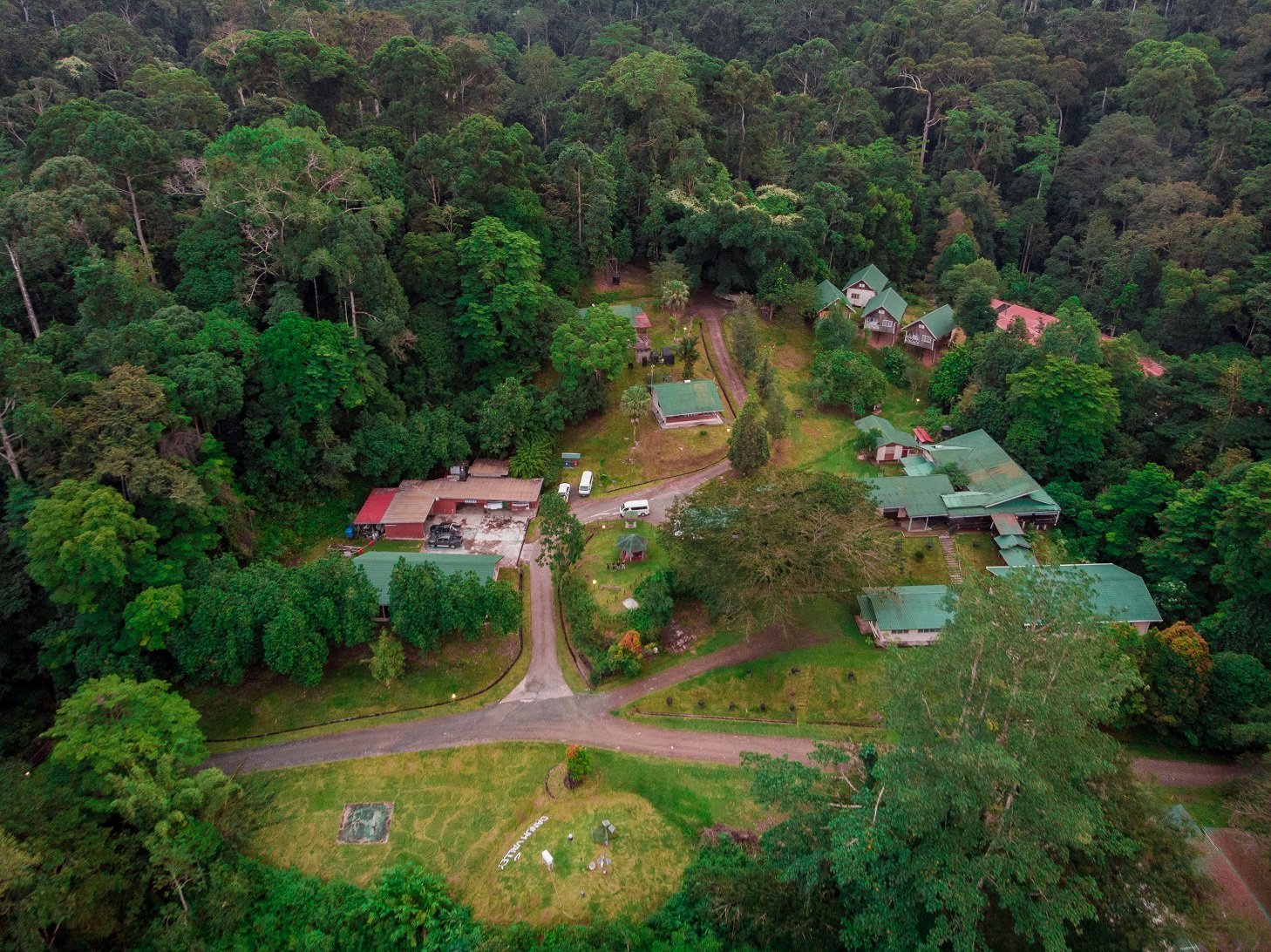 Aerial shot of Danum Valley offices / accommodation
