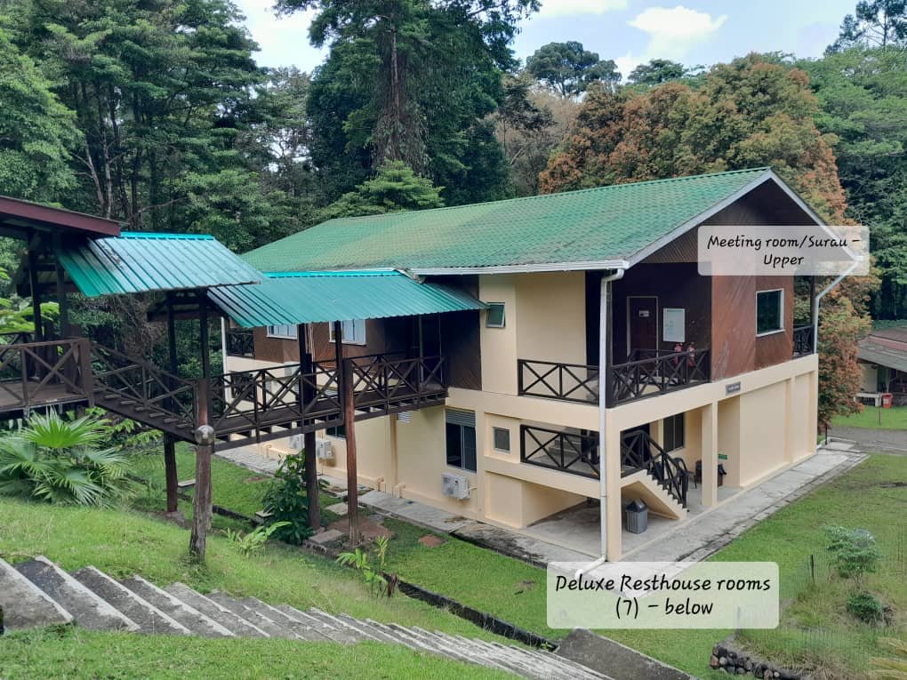 Accommodation at Danum Valley