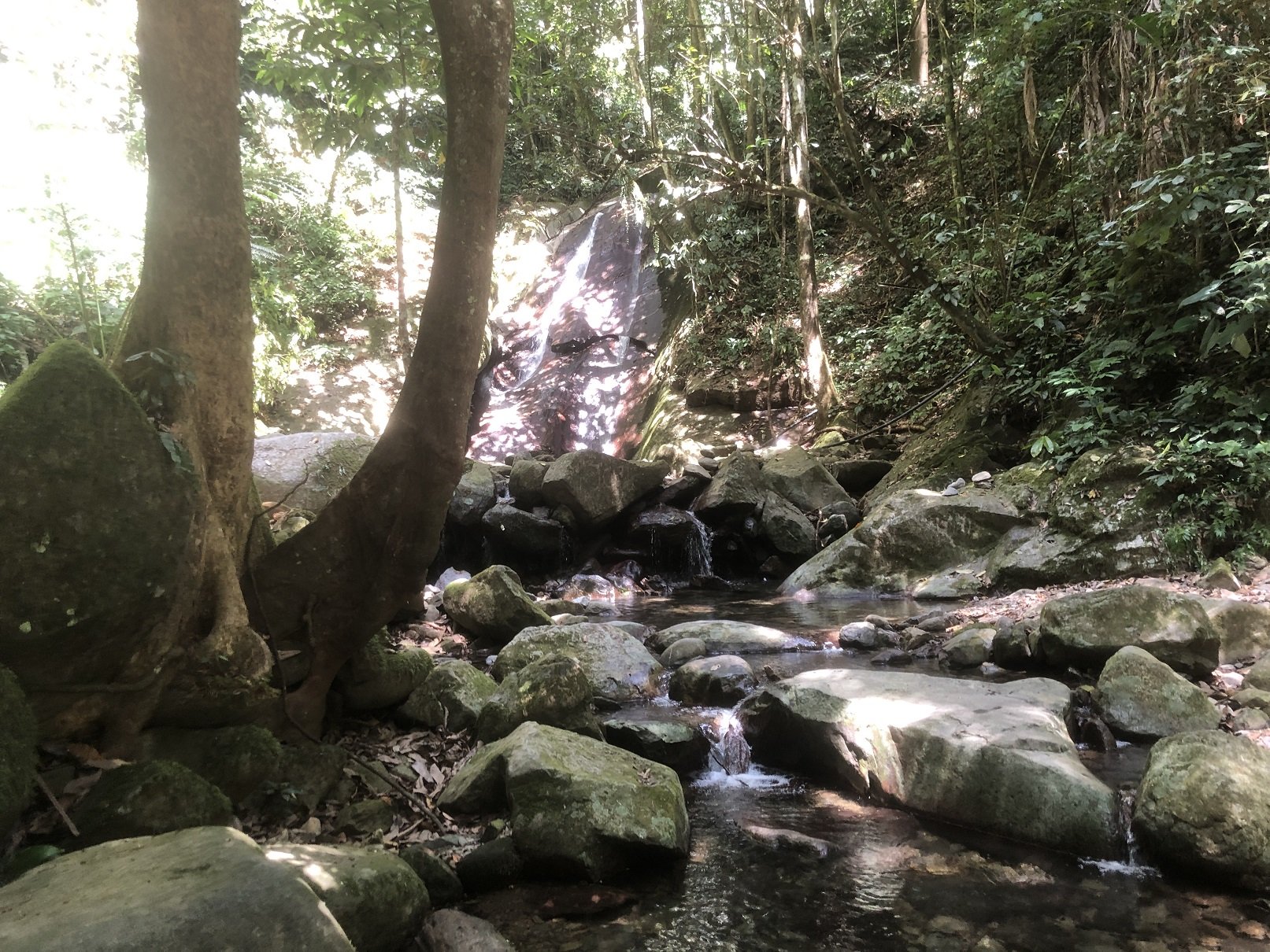 Trekking at Poring Hot Spring: Time to test your stepping-stone skills!