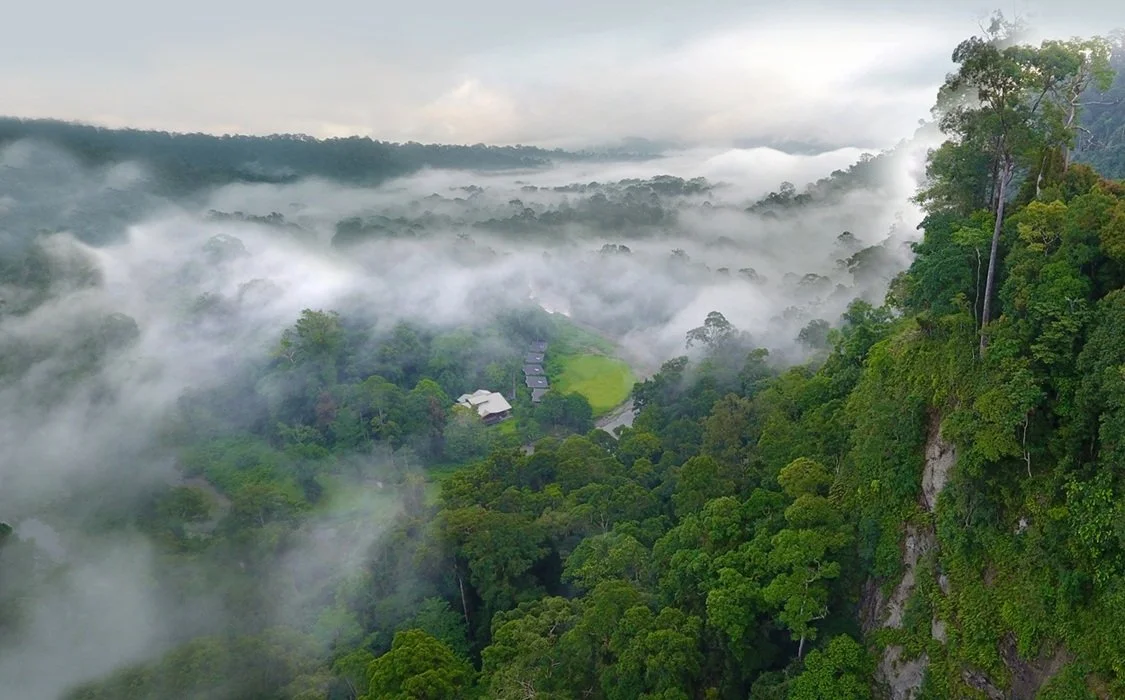 Borneo Rainforest lodge - Aerial View