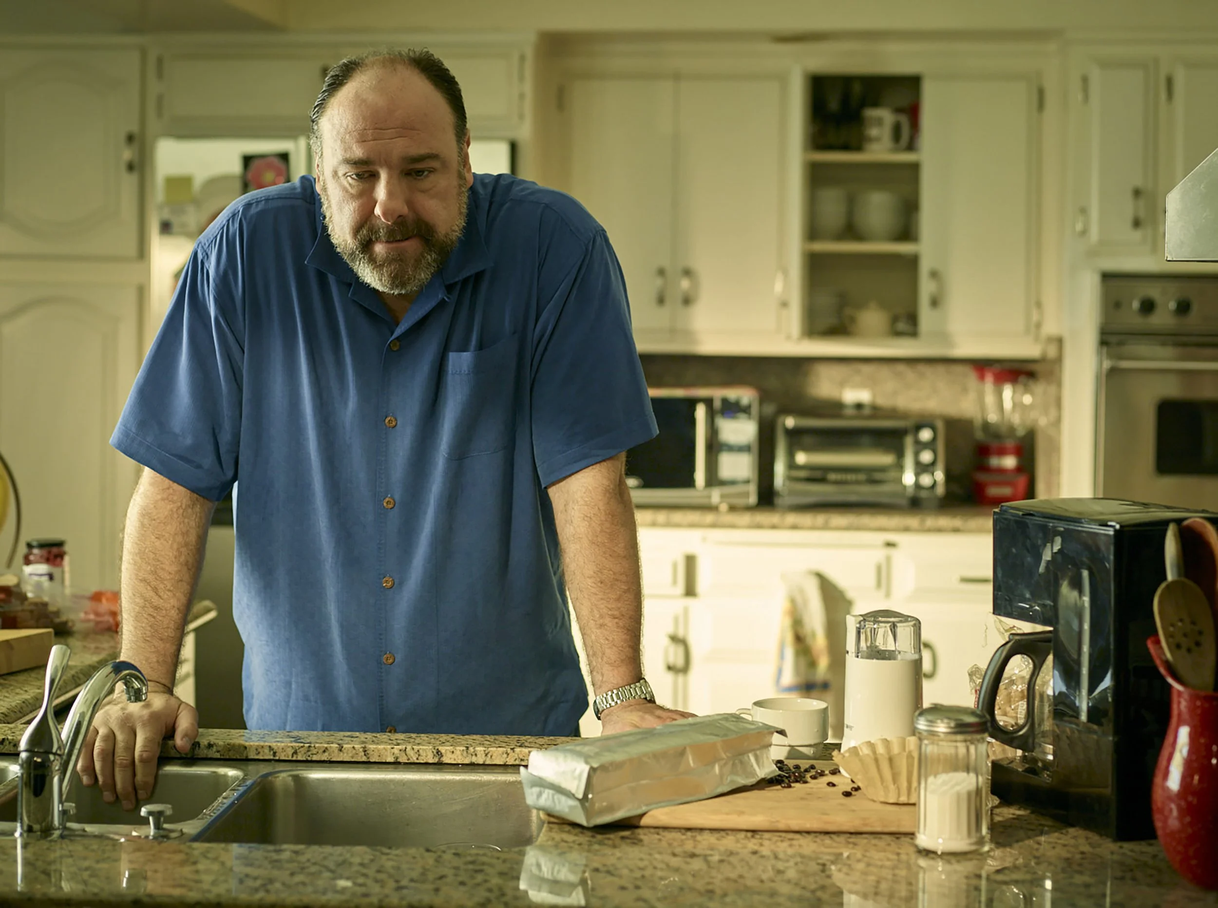 JAMES GANDELFINI_001 copy.jpg