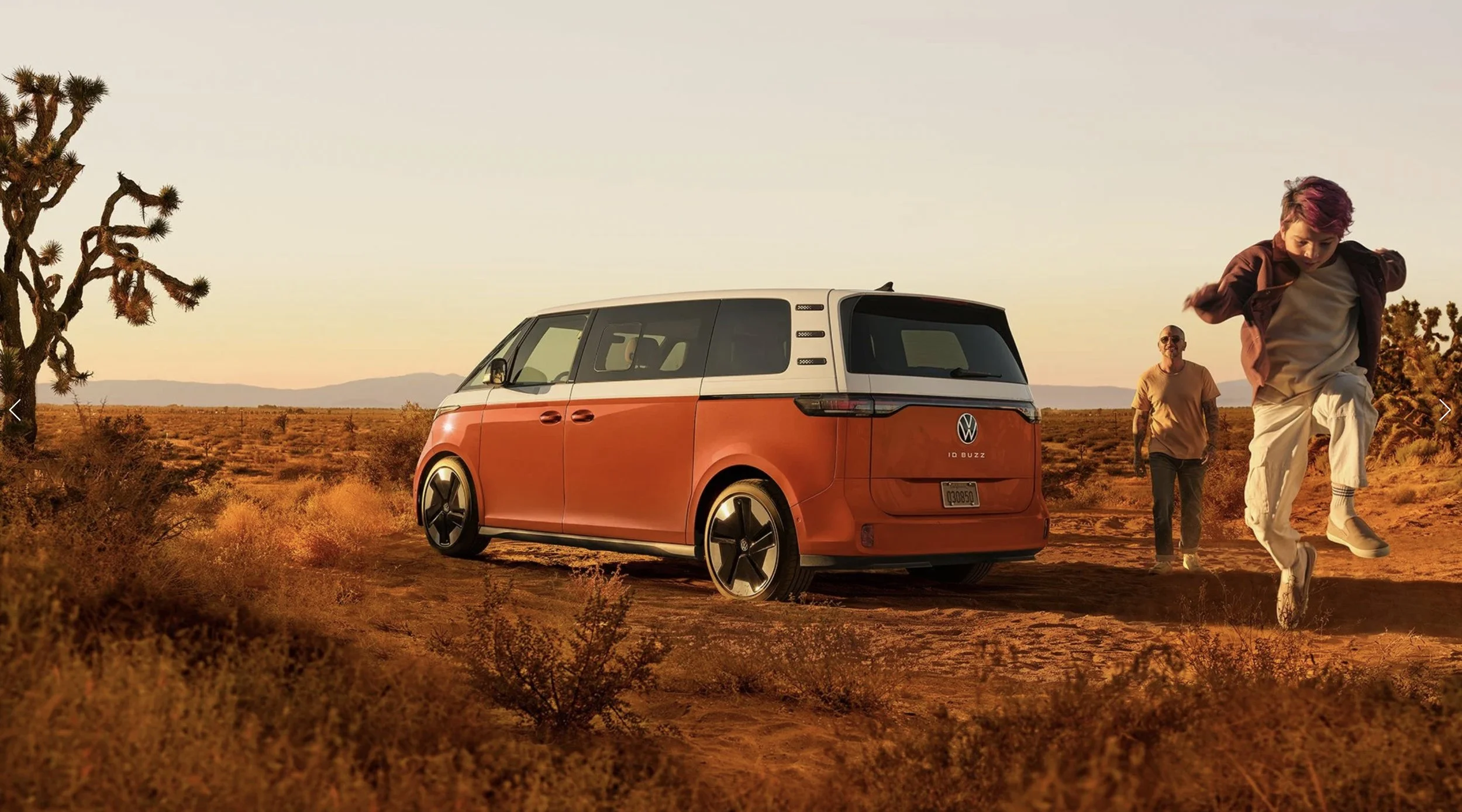 VW Desert Family.jpg