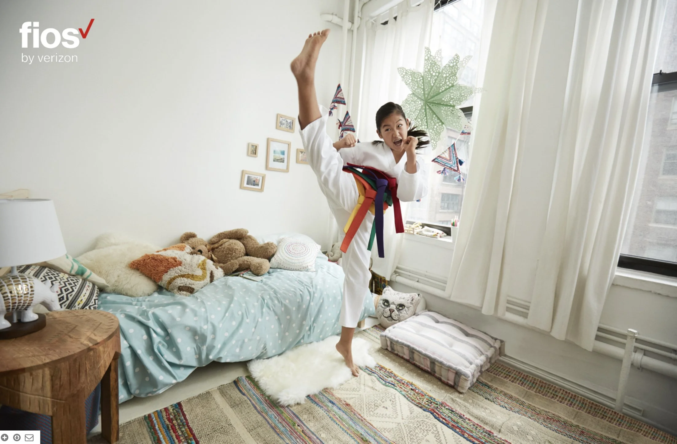 Verizon Fios Karate.jpg