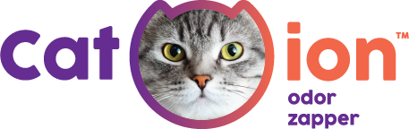 2020-02-15-FOR-WEB.png