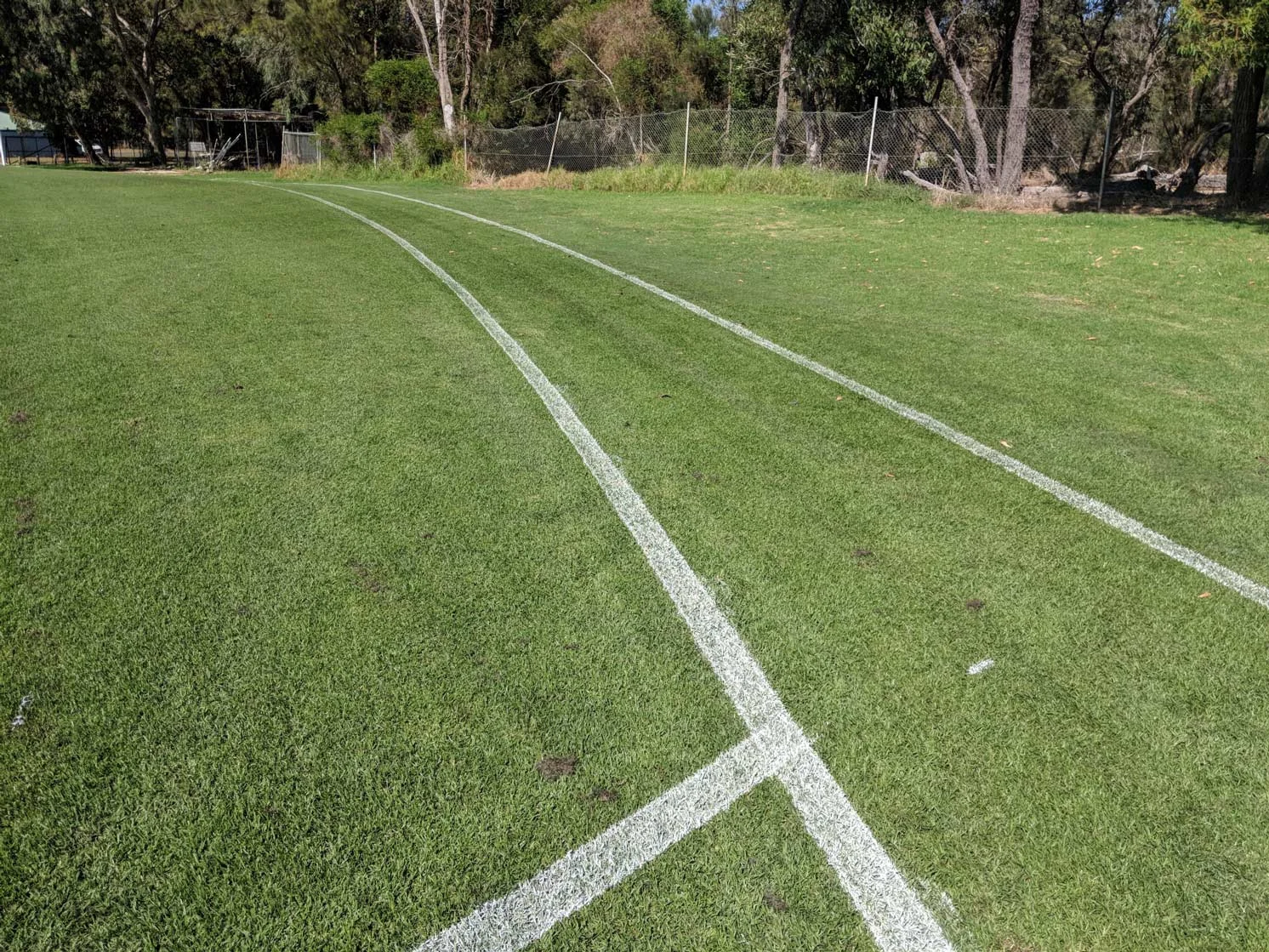 AFL-50m-arc-and-crowd-line.jpg