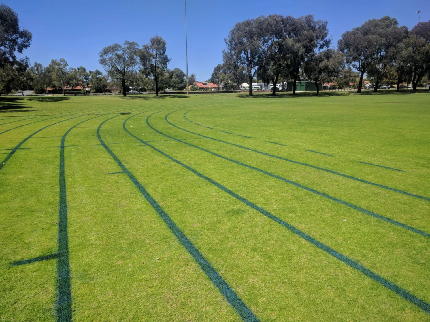 Athletics-curves-and-300m-break-line-in-blue.jpg