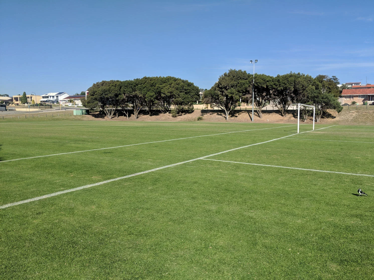 Soccer-field-with-junior-field-in-background.jpg