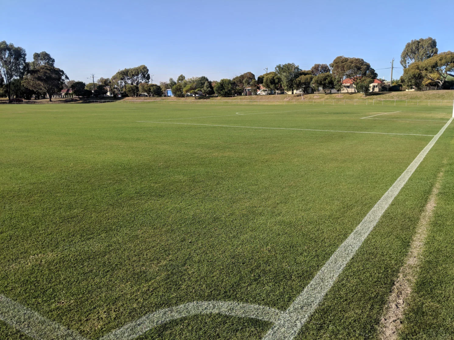 Soccer-field-(2).jpg