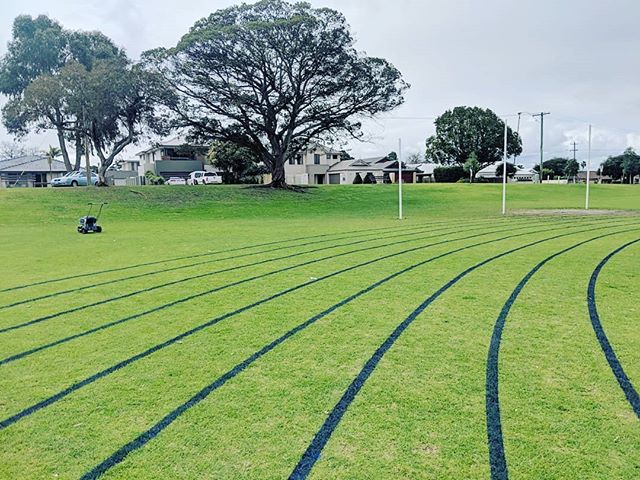 🎶 I see lines of blue
Red roses too 🎶

#linemarking #athletics #sports #schoolcarnival #satisfying #uberline #grass #carnival #