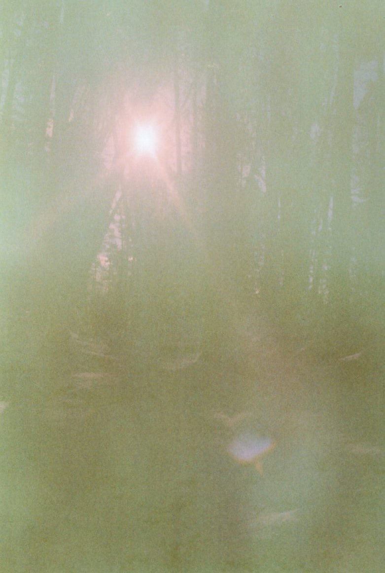 img20260303_18220095.jpg