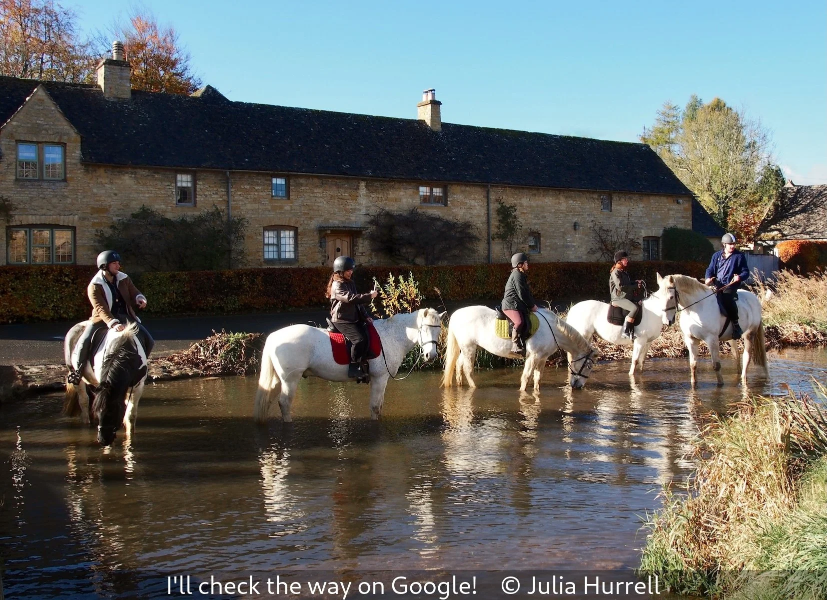 15_I'll check the way on Google!_Julia Hurrell_.jpg