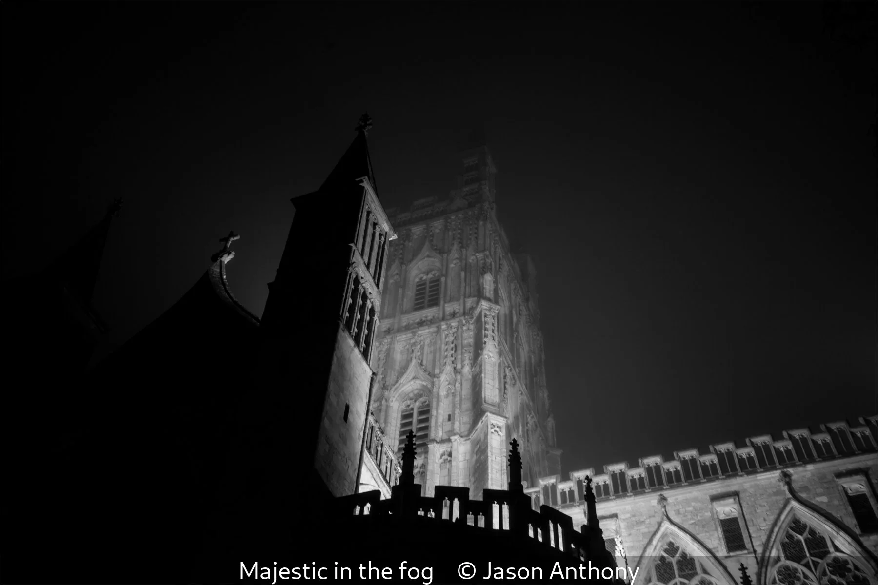 14_Majestic in the fog_Jason Anthony_.jpg