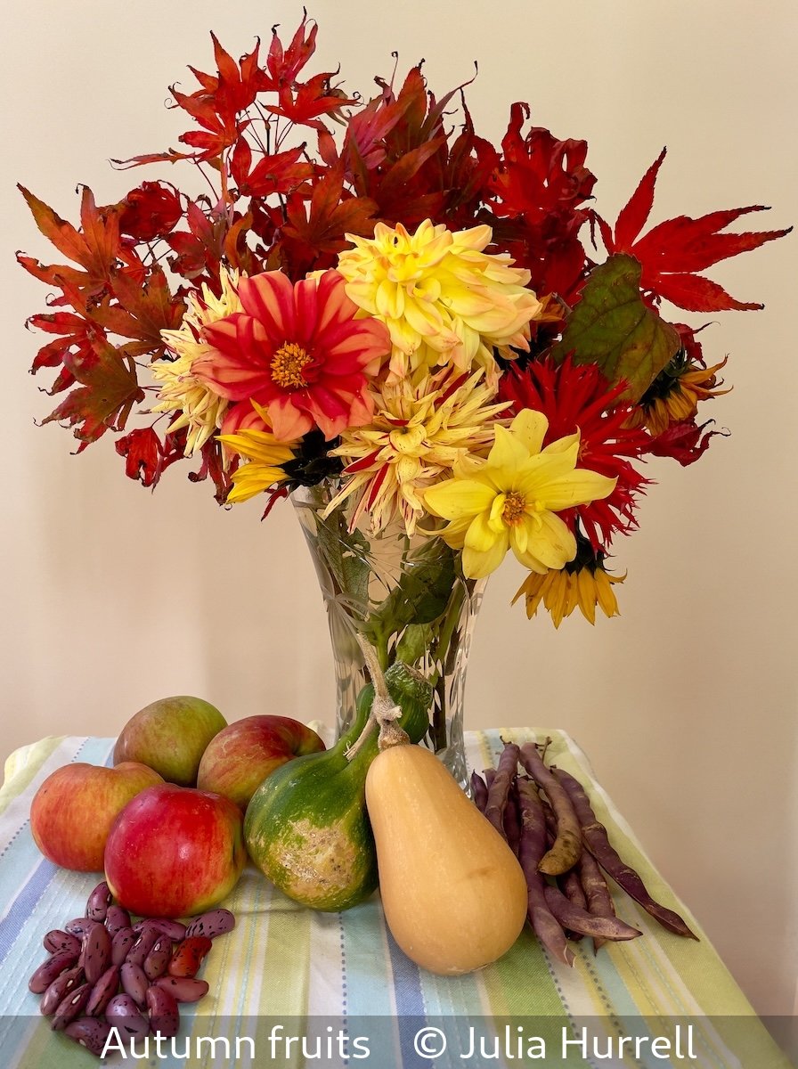 17_Autumn fruits_Julia Hurrell_.jpg